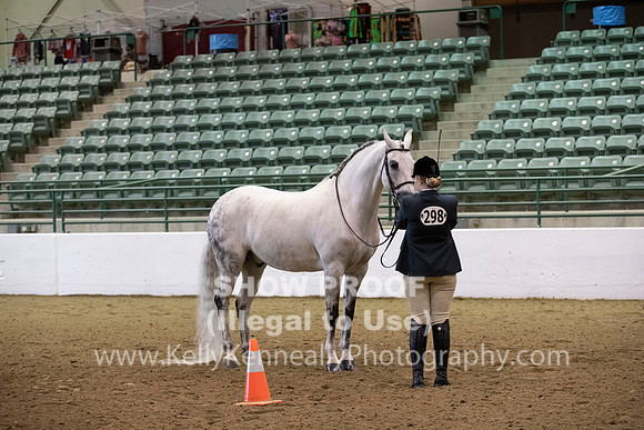 R319_MonAM_0198