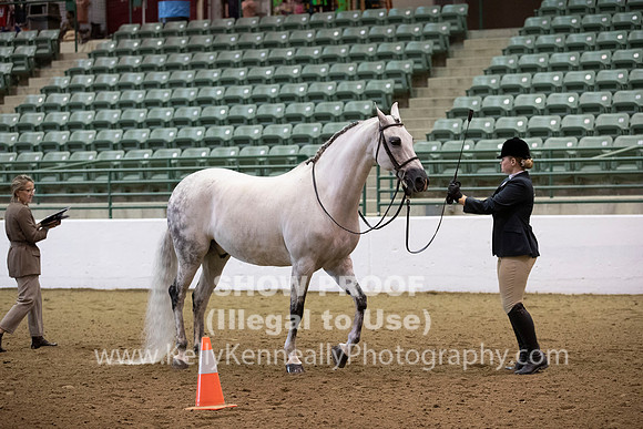 R319_MonAM_0199
