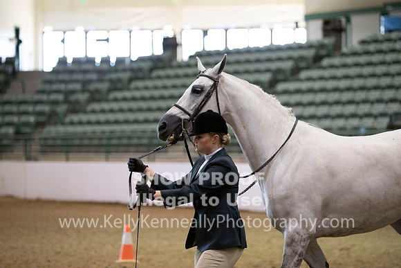 R319_MonAM_0202