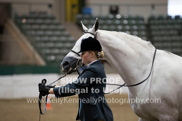 R319_MonAM_0203