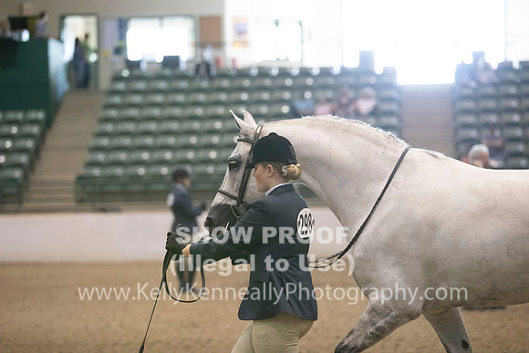R319_MonAM_0205