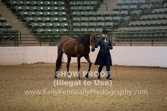 R319_MonAM_0207