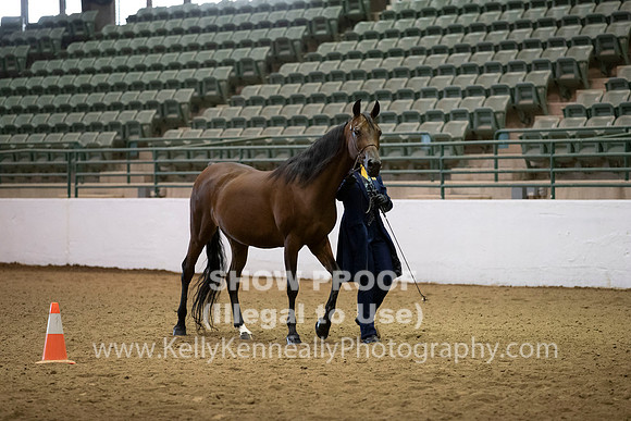 R319_MonAM_0208