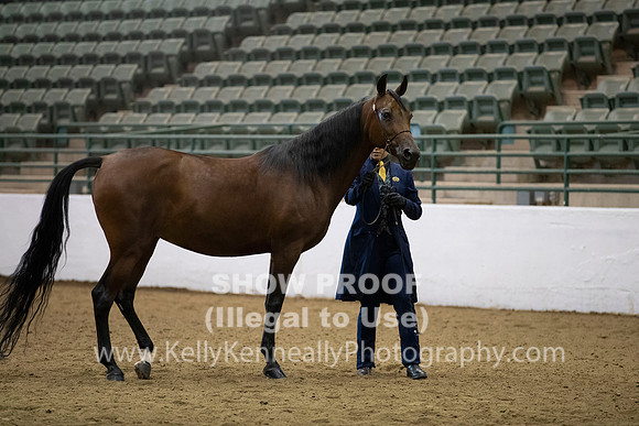 R319_MonAM_0209