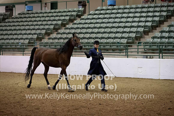 R319_MonAM_0210