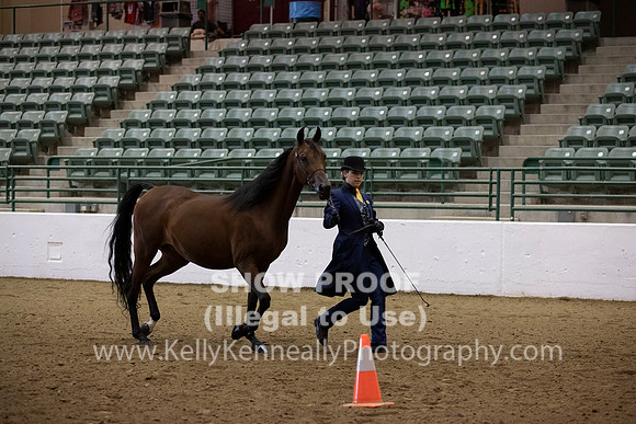 R319_MonAM_0211