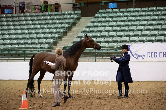 R319_MonAM_0212