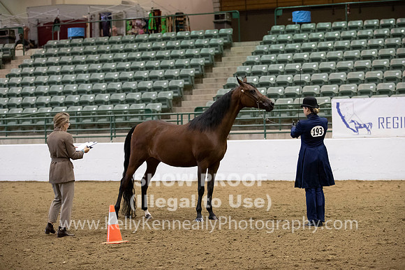 R319_MonAM_0213