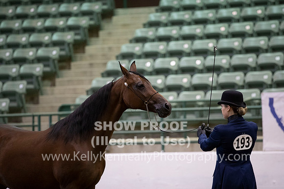 R319_MonAM_0214
