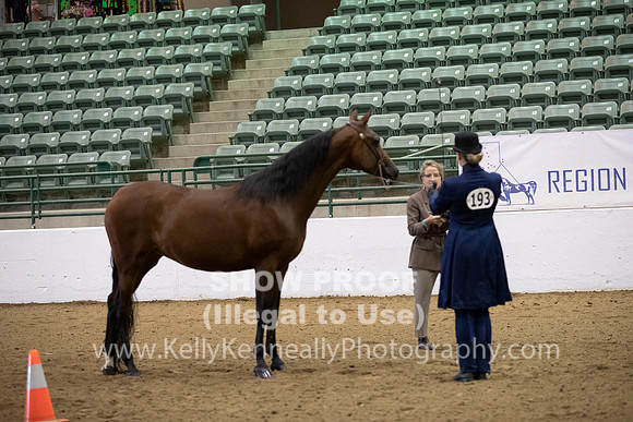 R319_MonAM_0218