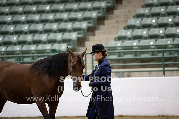 R319_MonAM_0219