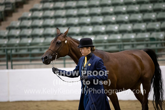 R319_MonAM_0221