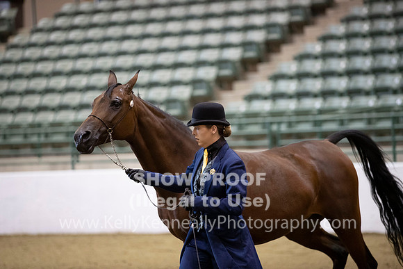 R319_MonAM_0222