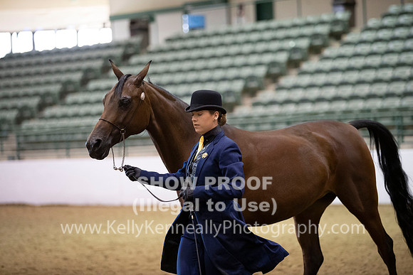R319_MonAM_0223