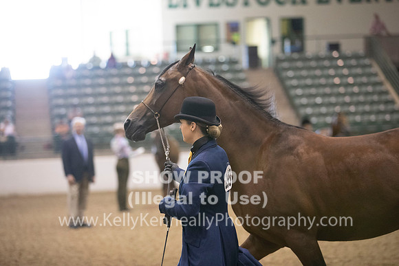 R319_MonAM_0225