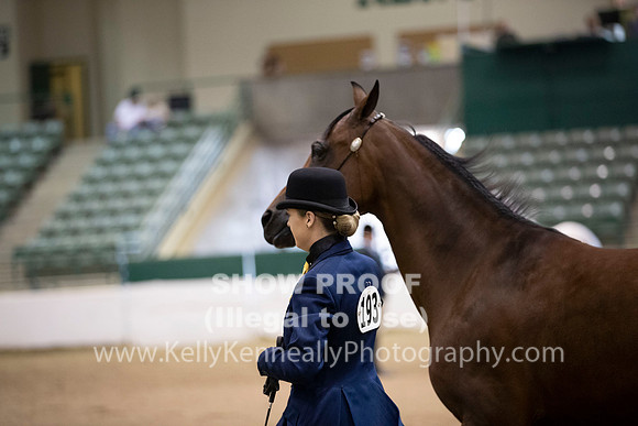 R319_MonAM_0226