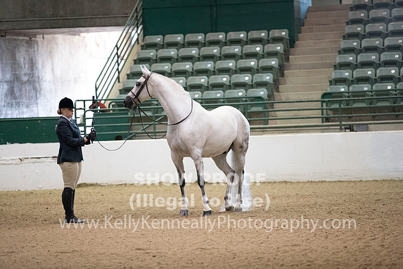 R319_MonAM_0228
