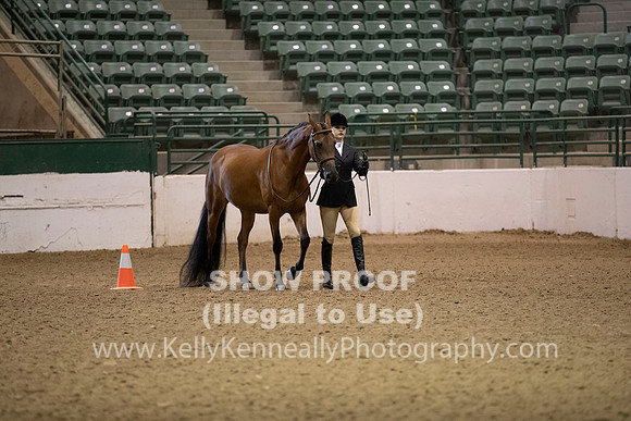 R319_MonAM_0230