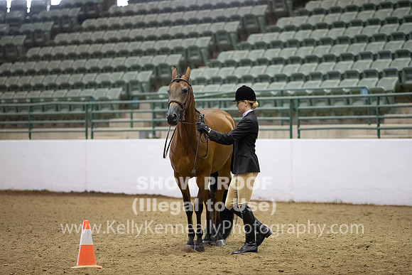 R319_MonAM_0233