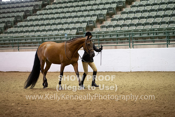 R319_MonAM_0235