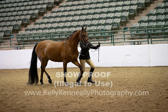 R319_MonAM_0237