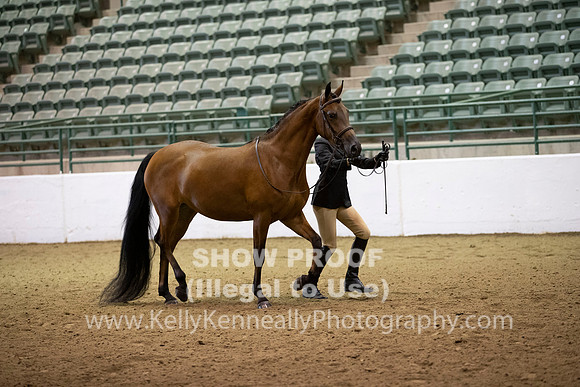 R319_MonAM_0238