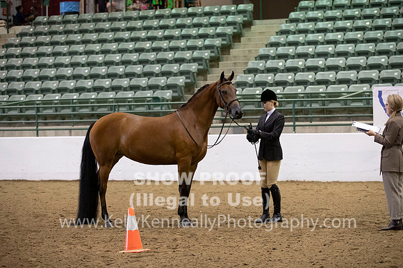 R319_MonAM_0239