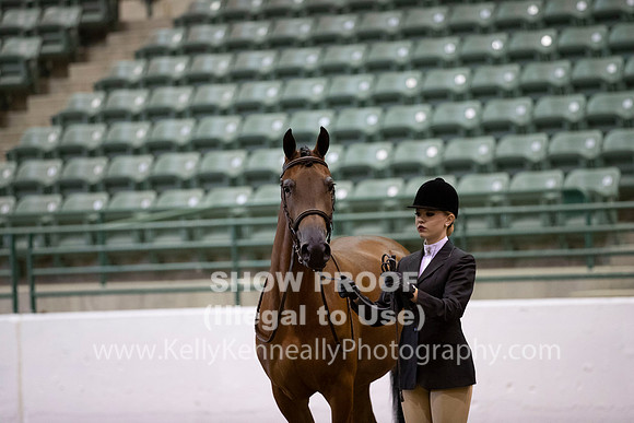 R319_MonAM_0247
