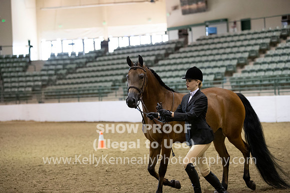 R319_MonAM_0249