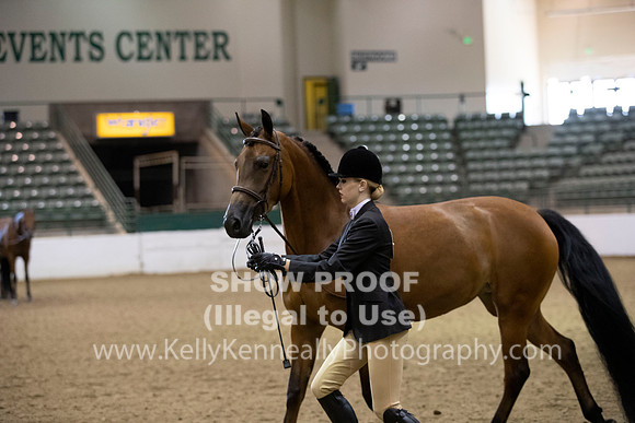R319_MonAM_0250