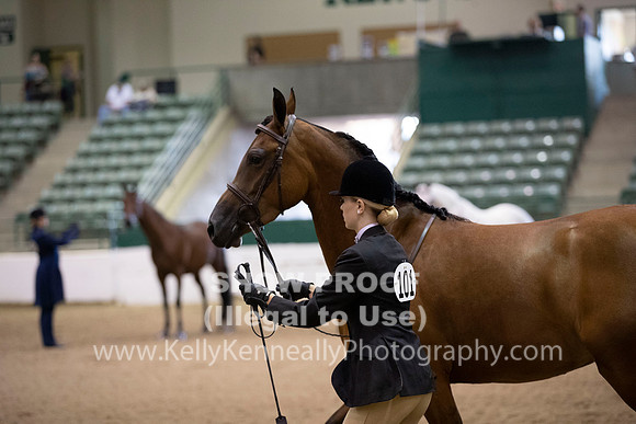 R319_MonAM_0251