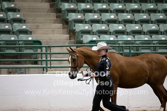 R319_MonAM_0258