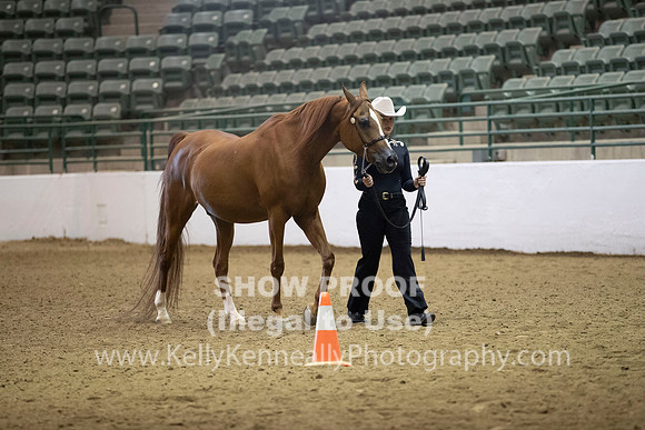 R319_MonAM_0260
