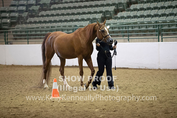 R319_MonAM_0261