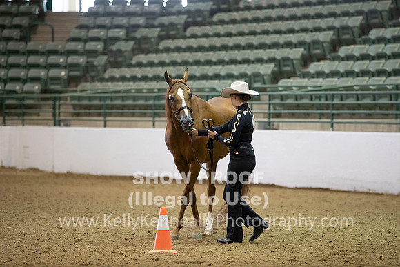 R319_MonAM_0263