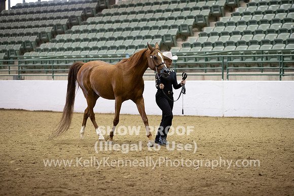 R319_MonAM_0264