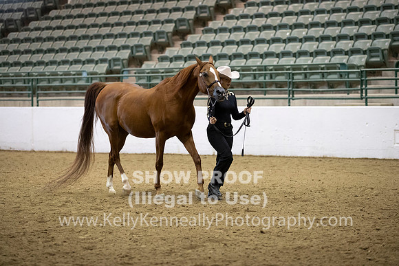 R319_MonAM_0265