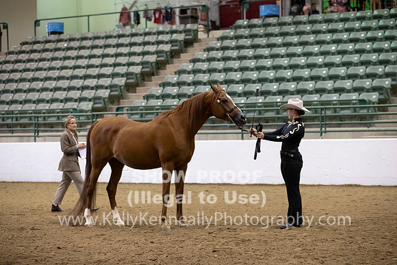 R319_MonAM_0267