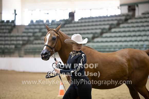 R319_MonAM_0273