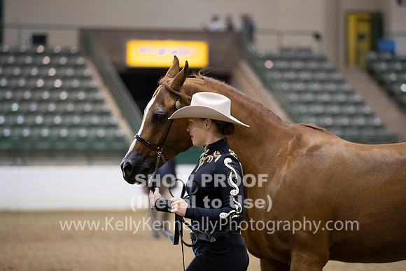 R319_MonAM_0274