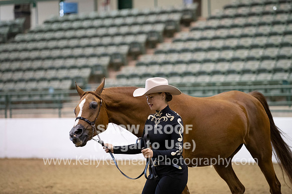 R319_MonAM_0272