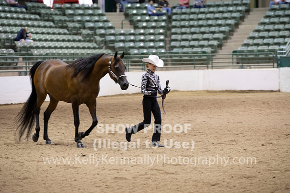 R319_MonAM_0284
