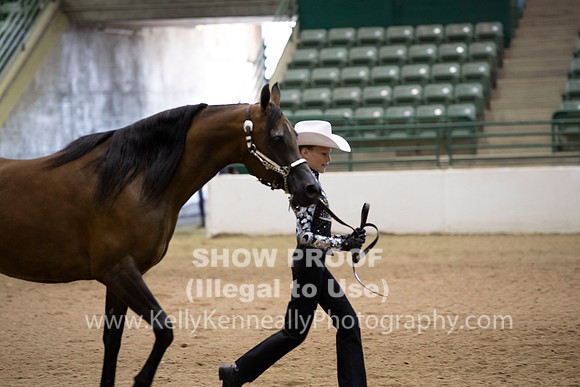 R319_MonAM_0286
