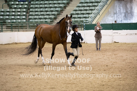 R319_MonAM_0289