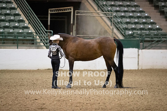 R319_MonAM_0290