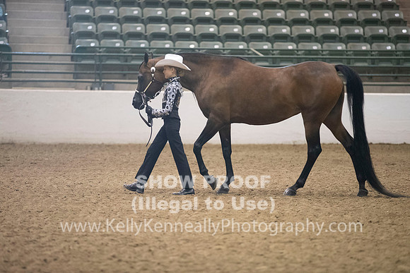 R319_MonAM_0291