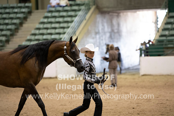 R319_MonAM_0285