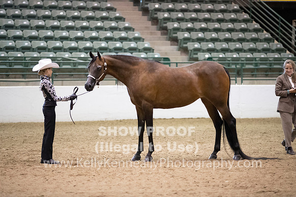 R319_MonAM_0293