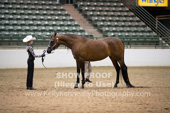 R319_MonAM_0292
