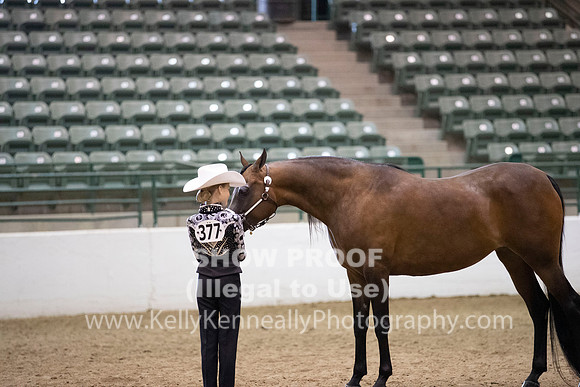 R319_MonAM_0294